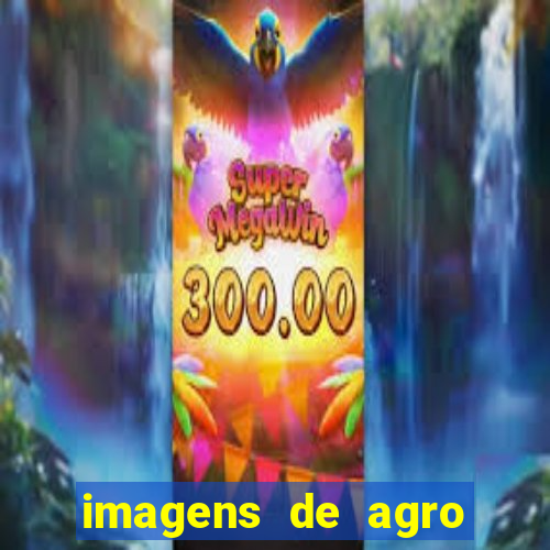 imagens de agro racoes guarani